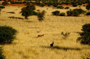 063 Namibia Okt 2006 .JPG